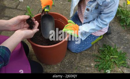 Happy Preschool kleines Mädchen Kind Tochter tragen Arbeitshandschuhe humic Stiefel Pflanzen Blumen in Topf im Garten. Kind hilft Mutter draußen. Familie Natur Stockfoto