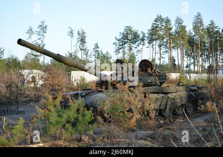 Dmytriwka, Region Kiew, Ukraine - 14. April 2022: Zerstörte russischen Panzer nach den Gegenangriffen der ukrainischen Streitkräfte. Krieg Russlands gegen die Ukraine Stockfoto