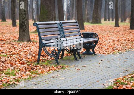 Leere Bank im Herbst Stadtpark, düstere Herbstmorgendlandschaft Stockfoto