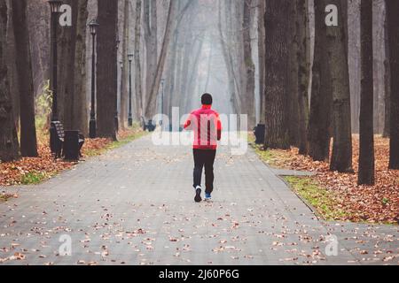 Ein einmüdiger Läufer an einem trüben Morgen in einem nebligen Herbstpark Stockfoto