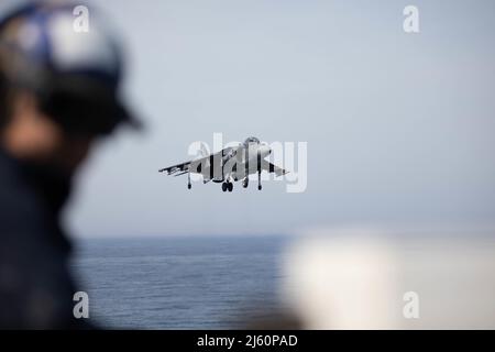 220425-N-OG067-1178 NORFOLK, VA. (25. April 2022) - ein AV-8B-Harrier, der dem Marine Attack Squadron (VMA) 231 zugewiesen wurde, bereitet sich auf das Flugdeck des amphibischen Angriffsschiffes USS Bataan (LHD5) vor, am 25. April 2022 zu landen. Bataan ist im Flottenbereich 2. im Einsatz. Bataan wird auf der Naval Station Norfolk heimisch. (USA Navy Foto von Mass Communication Specialist 2. Class Hannah Mohr) Stockfoto