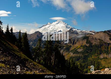 WA21450-00...WASHINGTON - Mount Baker vom Kulshan Point Trail aus gesehen im Mount Baker - Snoqualmie National Forest. Stockfoto