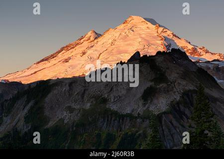 WA21475-00...WASHINGTON - Morgensonne auf Mount Baker vom Artist Point im Mount Baker-Snoqualmie National Forest. Stockfoto