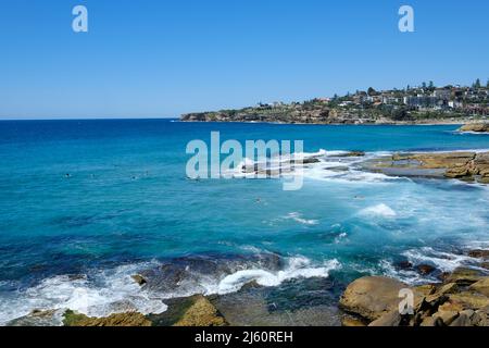 Surfer reiten auf den Wellen am Tamarama Beach, an der Ostküste von Sydney, New South Wales, Australien Stockfoto