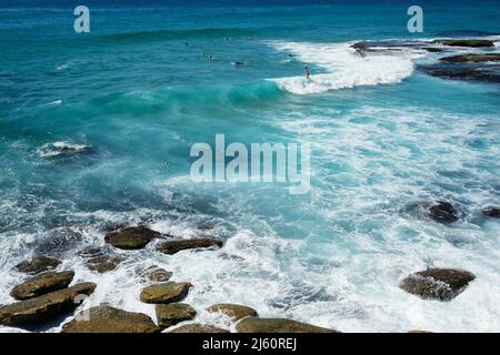 Surfer reiten auf den Wellen am Tamarama Beach, an der Ostküste von Sydney, New South Wales, Australien Stockfoto