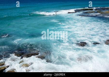 Surfer reiten auf den Wellen am Tamarama Beach, an der Ostküste von Sydney, New South Wales, Australien Stockfoto