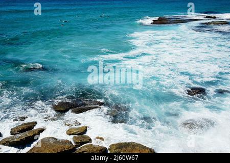 Surfer reiten auf den Wellen am Tamarama Beach, an der Ostküste von Sydney, New South Wales, Australien Stockfoto