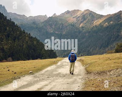 Rückansicht des asiatischen Wanderreisenden Rucksacktouristen, der auf einer unbefestigten Straße in Richtung Berge und Wald geht Stockfoto