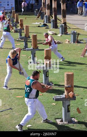 Sydney Olympic Park, NSW, Australien - 15. April 2022. Die Royal Easter Show 300mm steht Block Holz hacken Wettbewerb Hitze. Stockfoto
