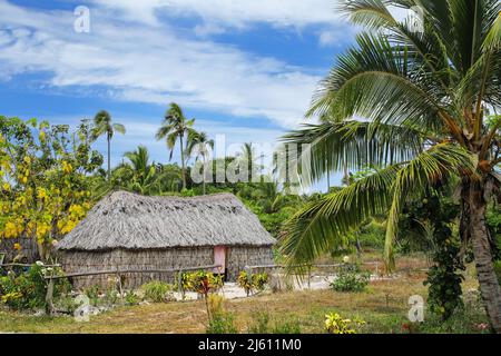 Traditionelle Kanak Haus auf Ouvea Insel, Loyalty Islands, New Caledonia. Kanak sind die indigenen Melanesischen Bewohner von Neukaledonien. Stockfoto