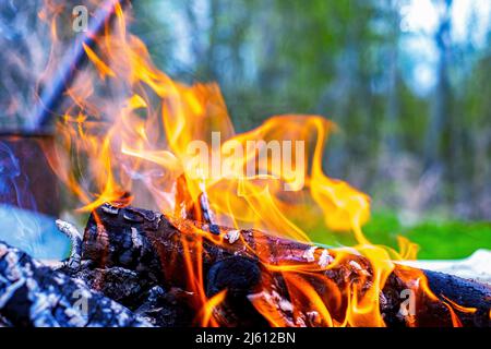 Die orange Flamme des Lagerfeuers. Brandwärme kohlt Stockfoto