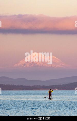 Stand-Up Paddle Boarder mit Mount Baker im Hintergrund. Oak Bay in der Nähe von Victoria, Vancouver Island, British Columbia, Kanada Stockfoto