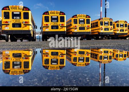 Farbenfrohe Schulbus-Reflektionen am Ogden Point Pier - Victoria, Vancouver Island, British Columbia, Kanada Stockfoto