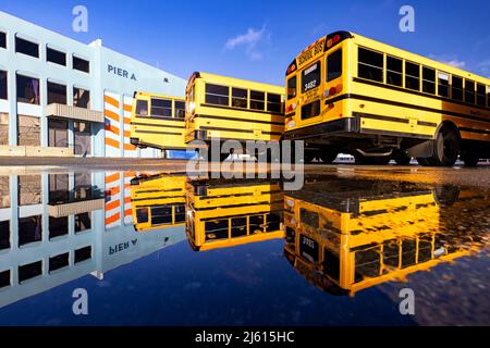 Farbenfrohe Schulbus-Reflektionen am Ogden Point Pier - Victoria, Vancouver Island, British Columbia, Kanada Stockfoto