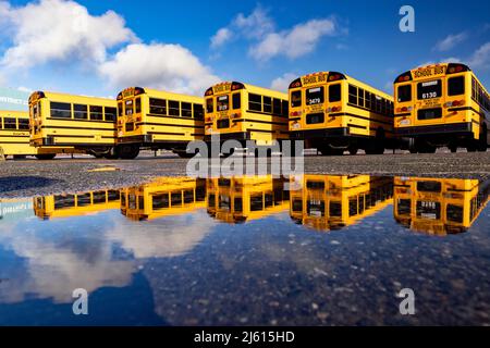 Farbenfrohe Schulbus-Reflektionen am Ogden Point Pier - Victoria, Vancouver Island, British Columbia, Kanada Stockfoto