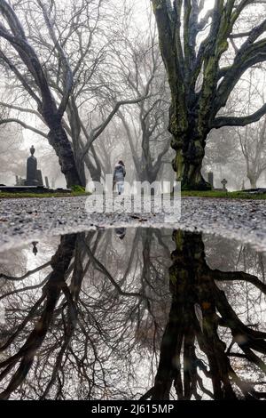 Neblige, von Bäumen gesäumte Pfadreflexionen auf dem Ross Bay Cemetery - Victoria, Vancouver Island, British Columbia, Kanada [s/w-Bild] Stockfoto