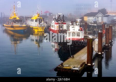 Pilotboote an einem nebligen Morgen im Hafen in der Nähe von Ogden Point Breakwater - Victoria, Vancouver Island, British Columbia, Kanada Stockfoto