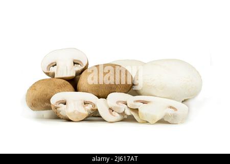 Gruppe von Champignons, weiß und portobello, ganz und in Scheiben geschnitten. Isoliert auf weißem Hintergrund. Gemüsehintergrund und Kopierbereich. Stockfoto