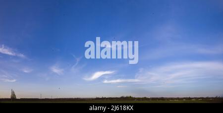 Panorama des blauen Himmels mit federleichten Wolken Stockfoto