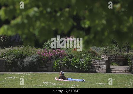 San Francisco, USA. 26. April 2022. Eine Frau ruht auf einem Rasen im Botanischen Garten des Golden Gate Parks in San Francisco, USA, 26. April 2022. Quelle: Liu Yilin/Xinhua/Alamy Live News Stockfoto