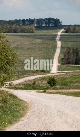 Blick auf den 1 Meilen langen Steinweg durch die offene Landschaft, die über die salisbury-Ebene bis zum Sidbury-Hügel Wiltshire UK führt Stockfoto