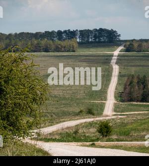 Blick auf den 1 Meilen langen Steinweg durch die offene Landschaft, die über die salisbury-Ebene bis zum Sidbury-Hügel Wiltshire UK führt Stockfoto