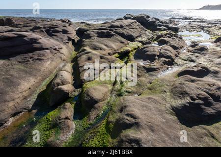 Ebbe, Seahouses Beach, Northumberland, England, Großbritannien Stockfoto