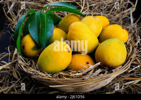 Tropische Mango-Frucht mit grünem Blatt, reife Mango im Gras aus der Nähe Stockfoto