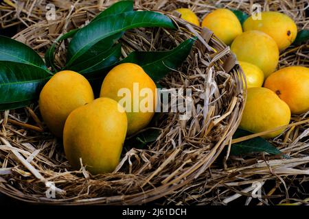 Tropische Mango-Frucht mit grünem Blatt, reife Mango im Gras aus der Nähe Stockfoto