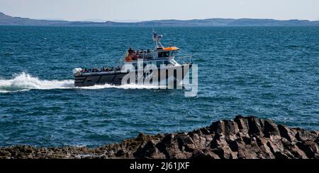Touristen auf einem Staffa Tours Boot, die zu einem Besuch auf dieser kleinen Insel in den Inneren Hebriden vor der Westküste Schottlands ankommen. Stockfoto