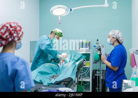 Tierarzt Chirurg mit Gesundheitsfachkräften, die eine Operation am Hund durchführen Stockfoto