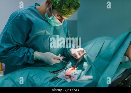 Tierarzt Durchführung einer Operation am Hund in der Klinik Stockfoto