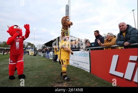 Sutton, UK 26. April 2022 : Sutton United Maskottchen 'Jenny' die Giraffe und Crawley Town Maskottchen Reggie der rote Teufel vor der EFL League zwei Spiel zwischen Sutton United und Crawley Town im tSutton Football Club gesehen. Quelle: James Boardman/Alamy Live News Stockfoto