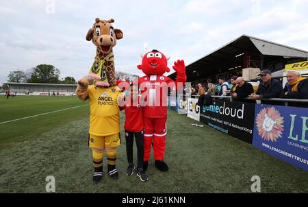 Sutton, UK 26. April 2022 : Sutton United Maskottchen 'Jenny' die Giraffe und Crawley Town Maskottchen Reggie der rote Teufel vor der EFL League zwei Spiel zwischen Sutton United und Crawley Town im tSutton Football Club gesehen. Quelle: James Boardman/Alamy Live News Stockfoto