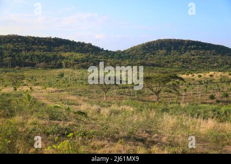 Das Tal der Ingenios, Kuba Stockfoto