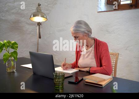 Geschäftsfrau mit Laptop, die zu Hause Tagebuch schreibt Stockfoto