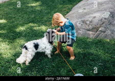 Junge spielt mit den Welpen auf Gras Stockfoto