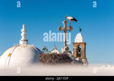 Portugal, Algarve, Olhao, Weißstorch auf der Dachkreuze der Kirche Igreja de Nossa Senhora do Rosario Stockfoto