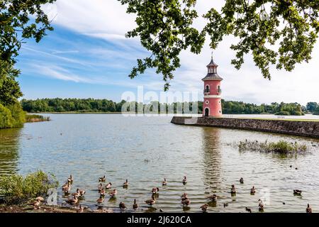 Deutschland, Sachsen, Moritzburg, Entenschar beim Seeufer mit Leuchtturm im Hintergrund Stockfoto