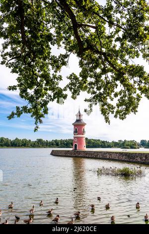 Deutschland, Sachsen, Moritzburg, Entenschar beim Seeufer mit Leuchtturm im Hintergrund Stockfoto