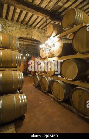 Italien, Toskana, Montalcino (Siena), Colle al Marchese, Weingut Conti Costanti, Keller mit Fässern aus Brunello di Montalcino Foto © Sandro Mic Stockfoto