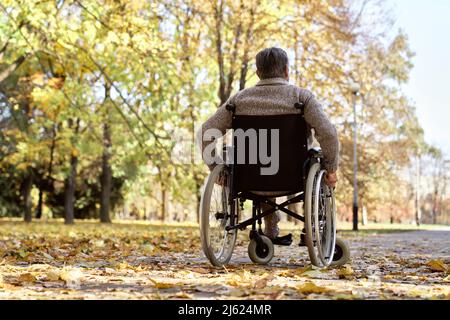 Behinderter älterer Mann, der im Rollstuhl im Herbstpark sitzt Stockfoto