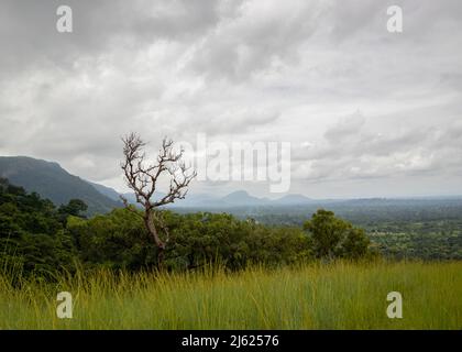 Ho District, Volta Region. Auf einer Wanderung zum Upper Wli Waterfall. Stockfoto