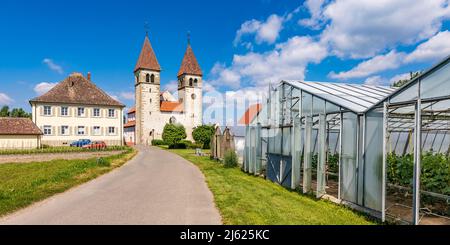 Deutschland, Baden-Württemberg, Insel Reichenau, Gewächshäuser entlang der Straße, die zur Basilika der Heiligen Peter und Paul führt Stockfoto