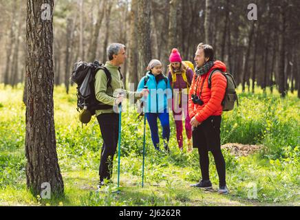 Männer, die miteinander reden, stehen vor Frauen, die im Wald spazieren Stockfoto