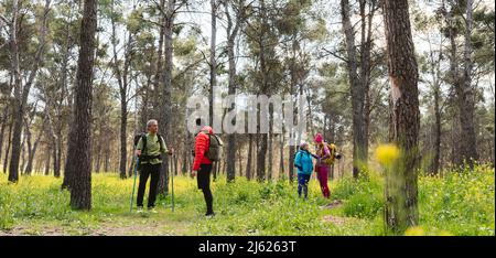 Männer und Frauen sprechen im Wald miteinander Stockfoto