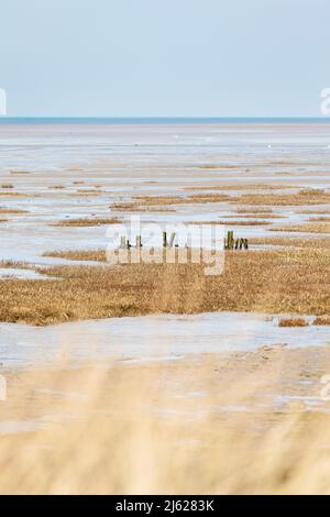 Schlamm flach in der Bucht von Vey in der Nähe von Isigny sur Mer, Normandie, Frankreich Stockfoto