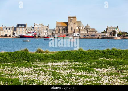 Blumen im Frühling im Hafen von Barfleur, kleine Stadt auf der Halbinsel Cotentin, Manche, Normandie, Frankreich Stockfoto