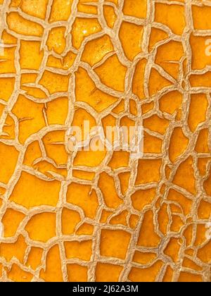 Melonenhaut Textur aus nächster Nähe. Sommerhintergrund. Hellgelber Hintergrund Stockfoto