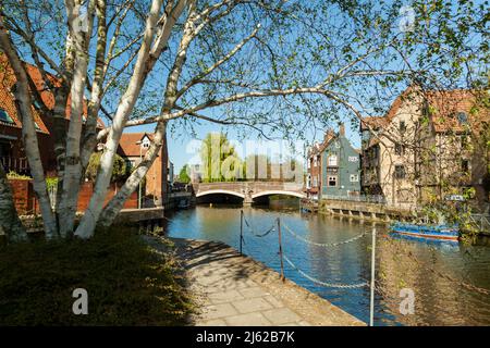 Frühlingsnachmittag auf dem Spaziergang am Flussufer in Norwich, Norfolk, England. Stockfoto